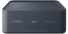 Yamaha WXAD-10