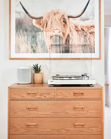 Comment choisir une platine vinyle avec préampli ?