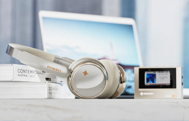 FiiO Snowsky Anytime Titanium Gold - EasyLounge - 5