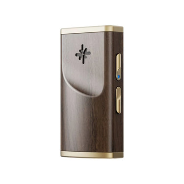 FiiO Snowsky Melody Noyer