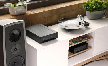 Rega Naia (sans cellule) - EasyLounge - 2