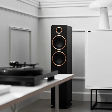 Argon Audio Fenris Active A55 Noir - EasyLounge - 5