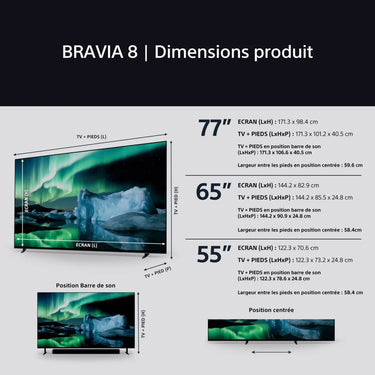 Sony 55 Bravia 8A - EasyLounge - 13