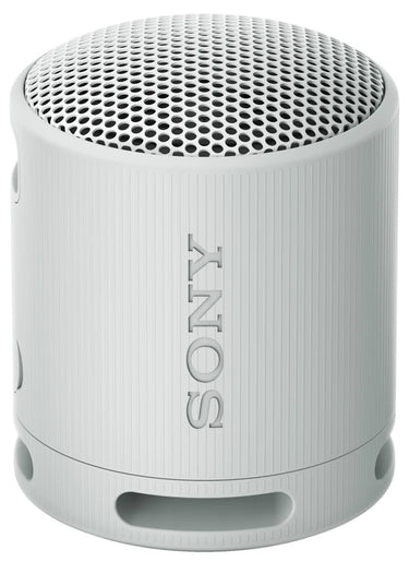 Sony SRS-XB100 Gris