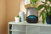 Harman Kardon Aura Studio 4 - EasyLounge - 2