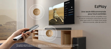 Hisense HS2100 - EasyLounge - 28