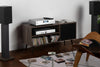 Rotel A-10 MKII Silver - EasyLounge - 4