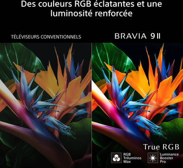 Sony 115 Bravia 9 II True RGB - EasyLounge - 18