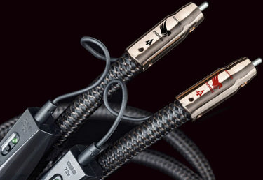 Audioquest Pegasus RCA (0,6 m) - EasyLounge - 7
