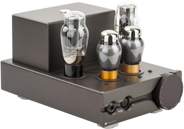 Feliks Audio Euforia Evo