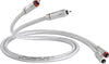 QED Signature Audio 40 (3 m) - EasyLounge - 2