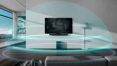 LG Electronics SC9S - EasyLounge - 11