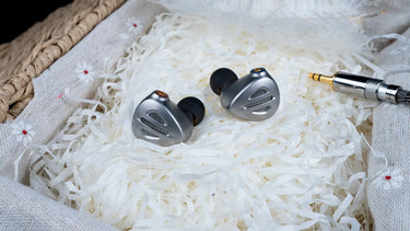 FiiO FH9 Titanium - EasyLounge - 11
