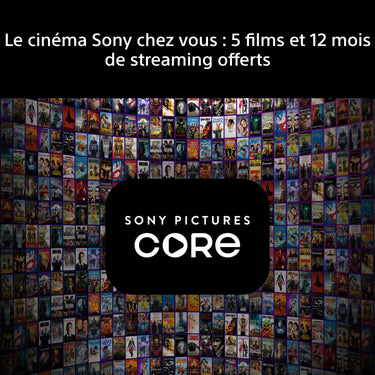 Sony 77 Bravia 6 - EasyLounge - 6