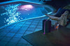 Sony SRS-XB402M - EasyLounge - 9