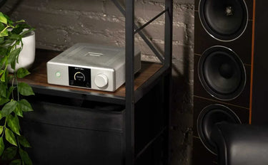 Rotel DX-5 Silver - EasyLounge - 4