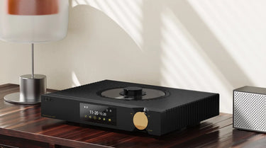Shanling Zenith XST20 - EasyLounge - 5