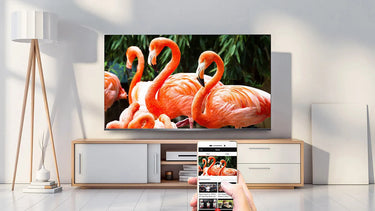 TCL 75X915 - EasyLounge - 18