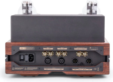 Feliks Audio Envy Performance Noyer - EasyLounge - 2