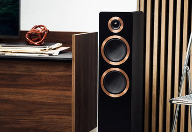Argon Audio Forte A55 WiFi Noir - EasyLounge - 9