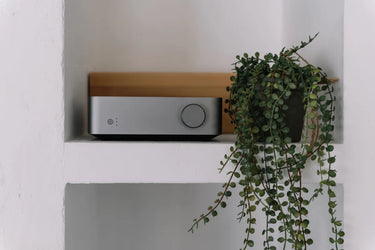 WiiM VibeLink Amp Noir - EasyLounge - 9