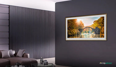 LG Electronics OLED55C9 - EasyLounge - 23