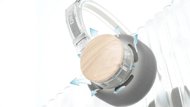 FiiO EH11 Noir - EasyLounge - 11