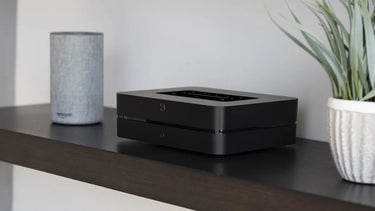 Bluesound Powernode Noir (2021) - EasyLounge - 15