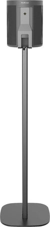 Cavus Pied d