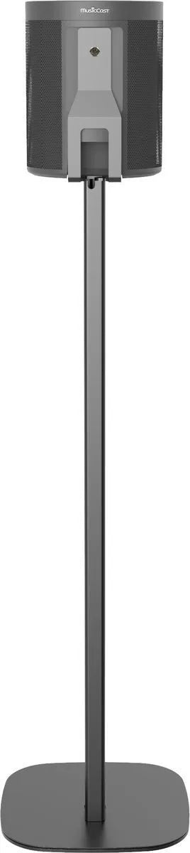 Cavus Pied d