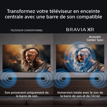 Sony 77 Bravia 8A - EasyLounge - 4