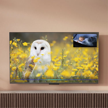 Panasonic TV-65W95BEG - EasyLounge - 26