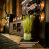 Klipsch RP-404C Noyer - EasyLounge - 9
