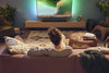 Philips TAB6309 - EasyLounge - 14