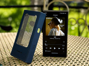 FiiO M33 R2R Bleu - EasyLounge - 19