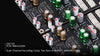 Eversolo Z10 - EasyLounge - 26