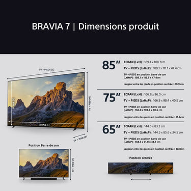 Sony 65 Bravia 7 - EasyLounge - 11