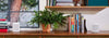 Sonos One SL Blanc - EasyLounge - 6