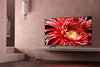 Sony KD-85XG8596BAEP - EasyLounge - 12
