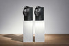 BW Formation Duo Noir - EasyLounge - 4