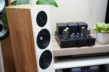 Davis Acoustics Krypton 6 Blanc - EasyLounge - 19
