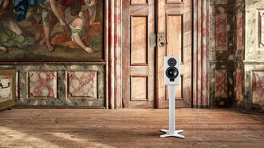 Dynaudio Xeo 20 Blanc satiné - EasyLounge - 8