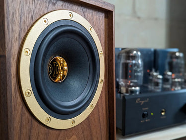Tannoy Autograph Mini-OW - EasyLounge - 11