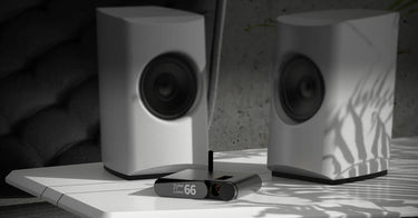 Aune Audio Flamingo BD - EasyLounge - 5