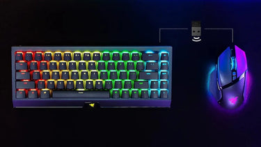 Razer Basilisk V3 Pro Noir - EasyLounge - 8