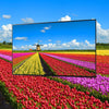 Panasonic TX-49FX700E - EasyLounge - 17