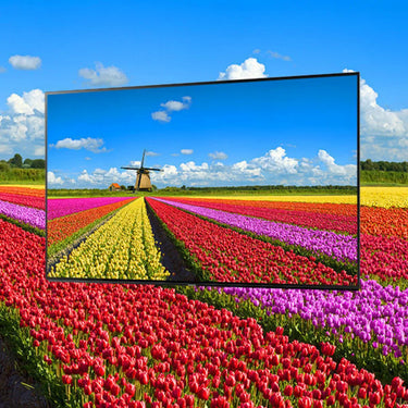 Panasonic TX-49FX700E - EasyLounge - 17
