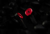 Bang Olufsen Beoplay EX Ferrari - EasyLounge - 8
