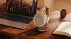 FiiO JT7 Champagne Gold - EasyLounge - 5