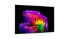 LG Electronics OLED65G6 - EasyLounge - 17